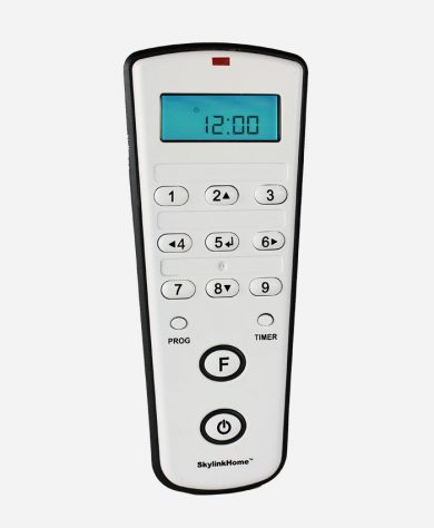 LCD Deluxe Remote TD-318